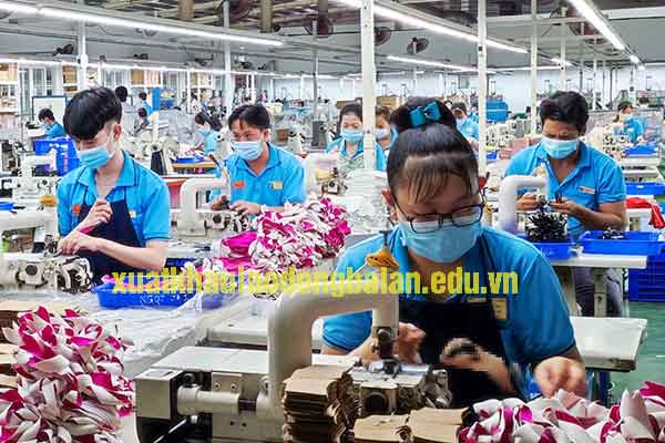 Nên học đại học hay đi xuất khẩu lao động sang Ba Lan