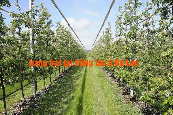 Đơn hàng nông nghiệp Ba Lan