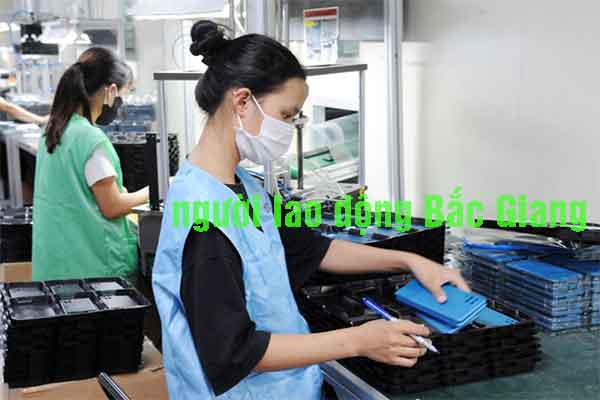 Người Bắc Giang đổ xô đi xuất khẩu lao động Ba Lan