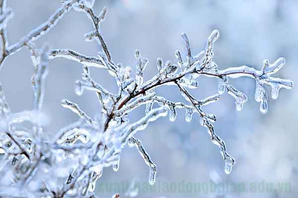 Caption mùa đông thả thính