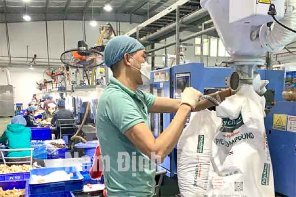 Tình hình việc làm xuất khẩu lao động ở Nam Định