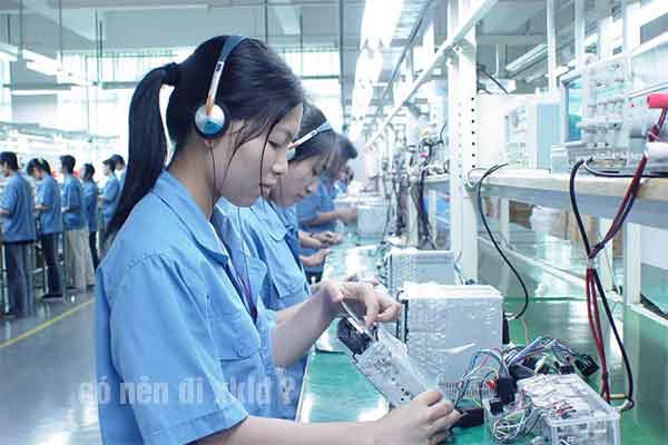 Xuất khẩu lao động cho người có bằng đại học