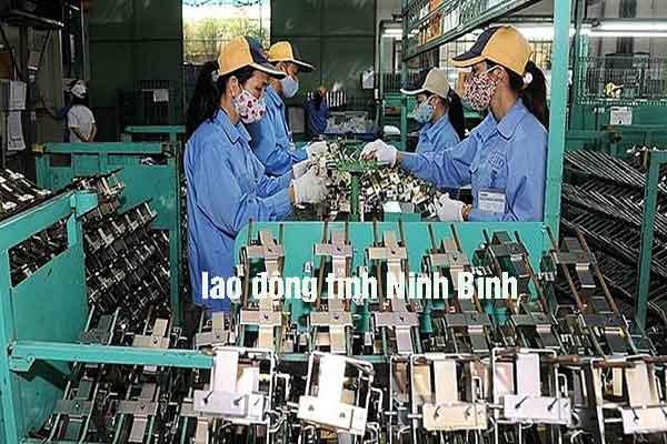 Ninh Bình hướng đến thị trường lao động Ba Lan