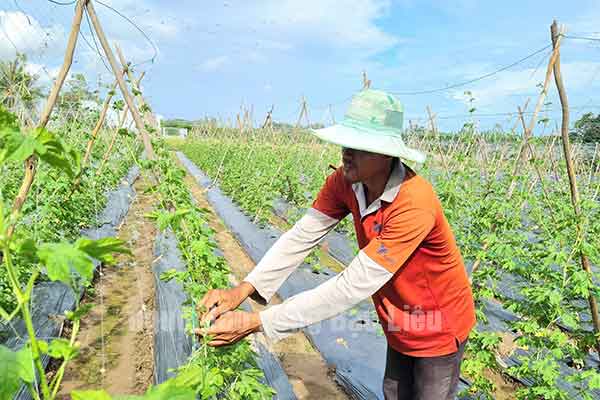 Người Bạc Liêu có đi xuất khẩu lao động sang Ba Lan không