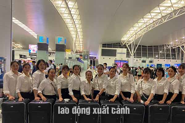 các đơn hàng đi nhật cho nữ trên 30 tuổi