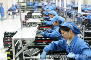 Tuyển lao động phổ thông