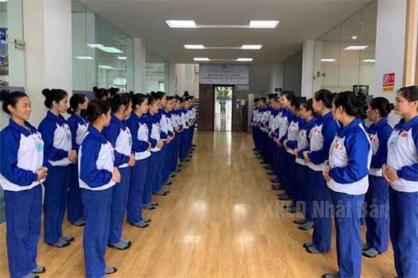 xkld nhật xkld nhật