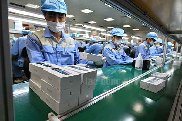 Xuất khẩu lao động đi Nhật có những ngành nào