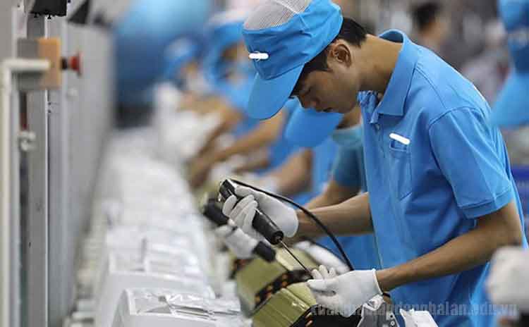 Xuất khẩu lao động Latvia