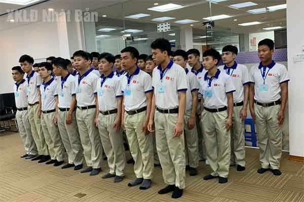 Đơn hàng giàn giáo Nhật Bản