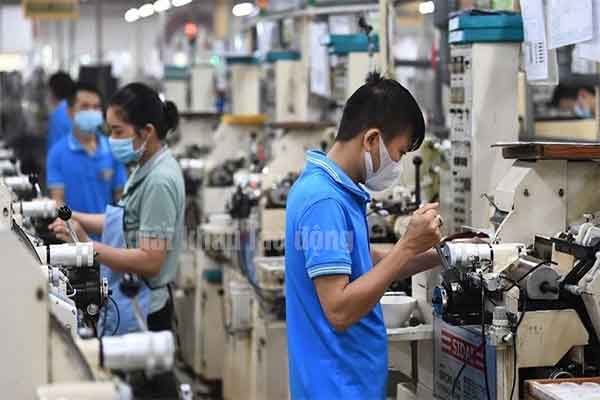 Tình hình xuất khẩu lao động 6 tháng đầu năm 2025