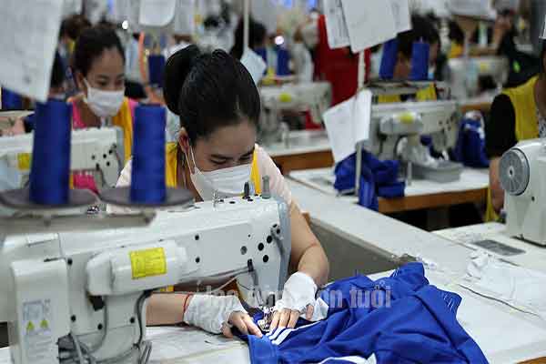 45 tuổi có đi Đài Loan được không