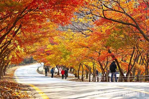 Có nên đi Đài Loan tháng 9