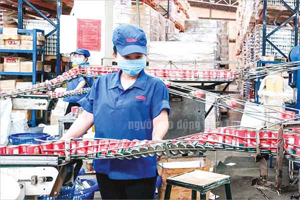 Đẩy mạnh hoạt động xuất khẩu lao động ở Cần Thơ