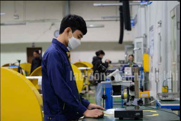 Đơn cơ khí đài loan