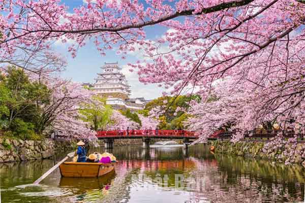 Lễ hội Nhật Bản