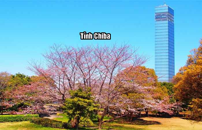 tỉnh Chiba Nhật Bản