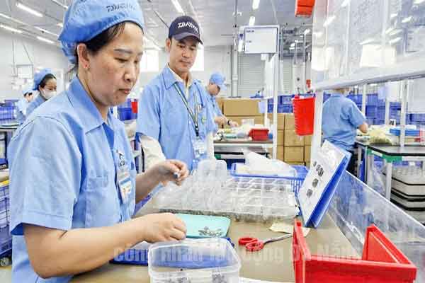 XKLĐ Nhật Bản tại Đà Nẵng