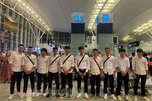 các đơn hàng xuất khẩu Nhật Bản