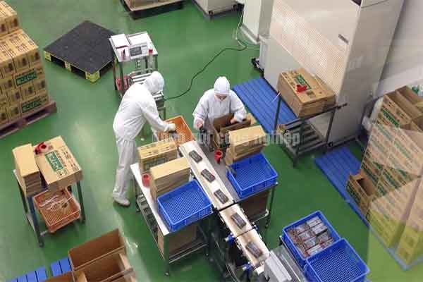 Đơn hàng đóng gói công nghiệp Nhật Bản