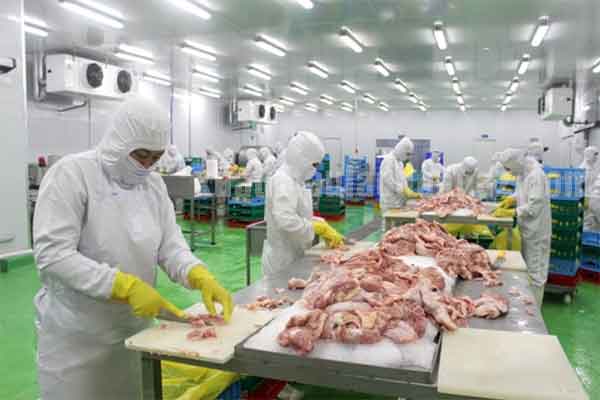 đơn thực phẩm Đài Loan 