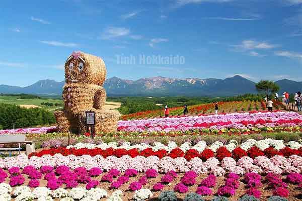 Hokkaido Nhật Bản