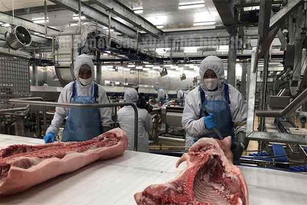 Công xưởng thực phẩm tại Đài Loan tuyển 02 nam vận hành máy