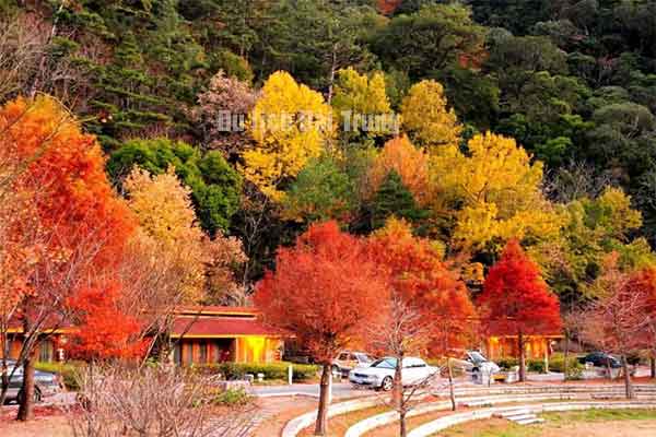 du lịch Đài Trung