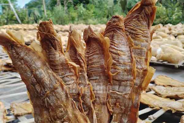 Măng khô có được mang sang Nhật không