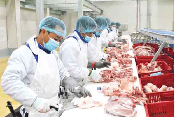 Tuyển 15 Nam đi đơn hàng thực phẩm Đài Loan