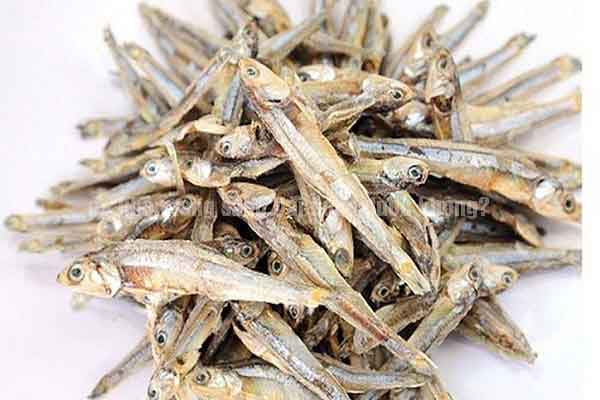 Cá khô, mực khô có được mang sang Đài Loan không