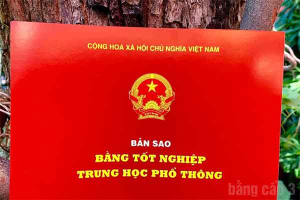 Không Có Bằng Cấp 3 Có Đi XKLĐ Được Không