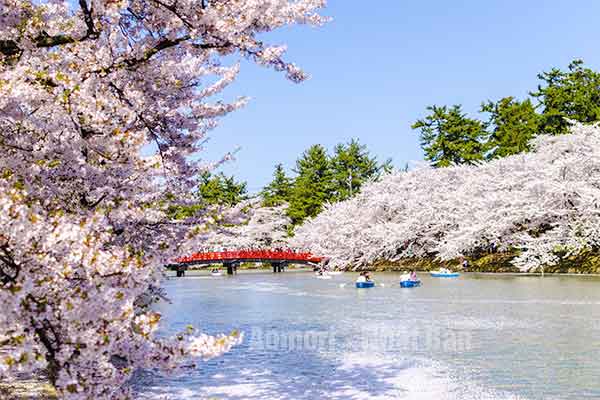 tỉnh Aomori số mấy