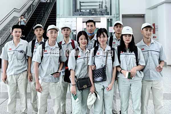 Xuất khẩu lao động có ý nghĩa thế nào trong giải quyết việc làm