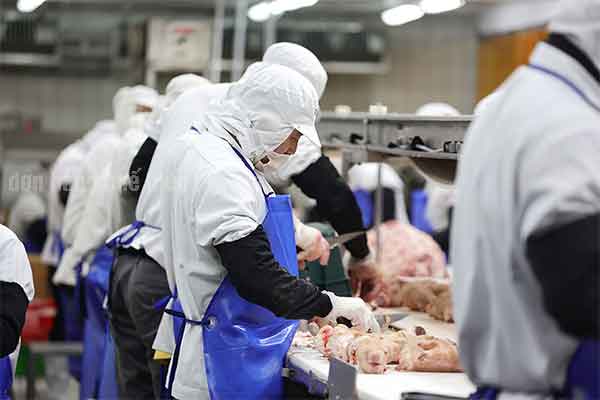 đơn hàng chế biến thực phẩm Đài Loan