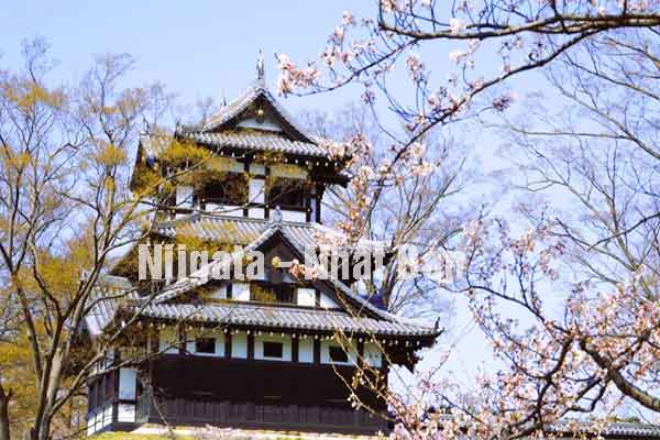 tỉnh Niigata Nhật Bản