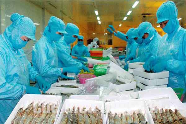 Đơn hàng chế biến thủy sản Đài Loan