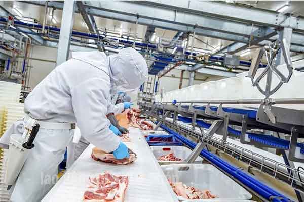 Xuất khẩu lao động Pháp