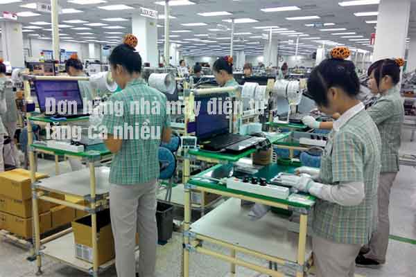 Nhà máy Trí Mậu