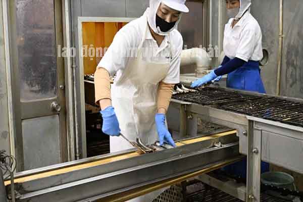 Vì sao nhiều người bỏ trốn tại Nhật