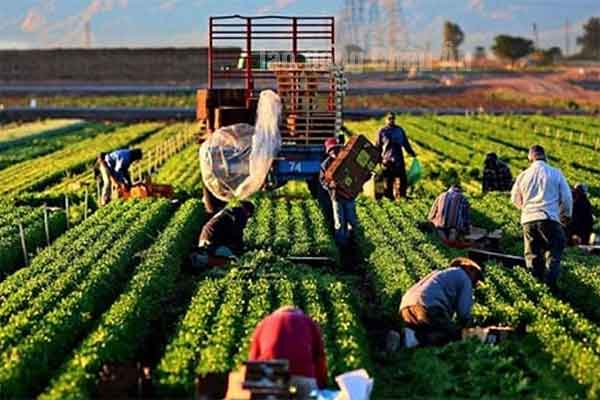 XKLD Châu Âu XKLD Châu Âu