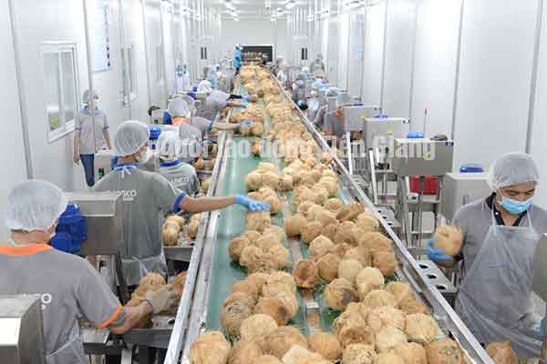 xuất khẩu lao động ở Tiền Giang