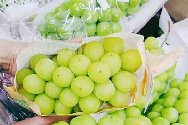 Đơn hàng nhà máy Kỳ Phong - Công việc đóng gói hoa quả