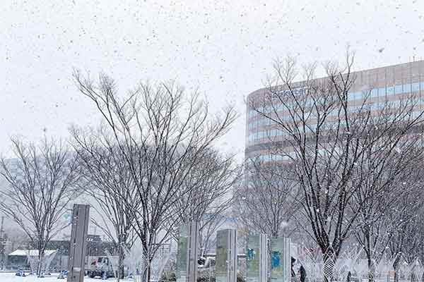 Fukuoka có tuyết không