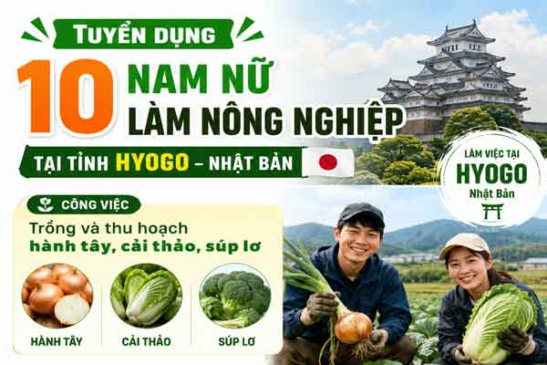 Đơn hàng đi Nhật làm nông nghiệp