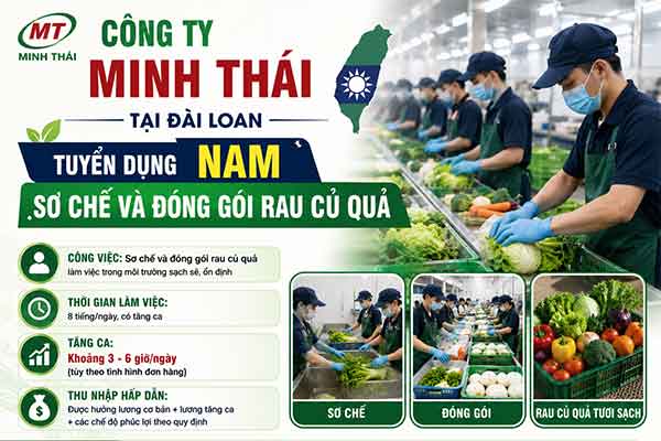 Đơn hàng đi XKLĐ Đài Loan cần tuyển 1 Nam biết lái xe tải