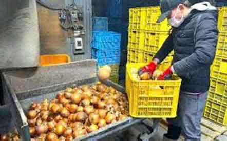 làm nông nghiệp tại Hyogo