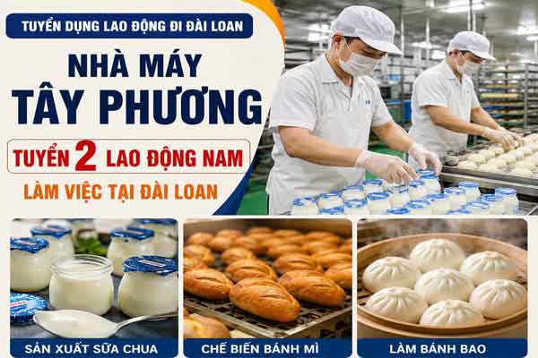 Đơn hàng Nhà máy Tây Phương tuyển 2 nam sản xuất thực phẩm