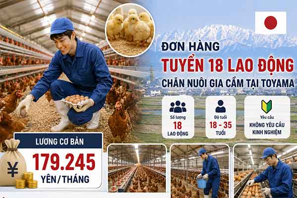 tuyển 18 lao động chăn nuôi gia cầm tại Toyama