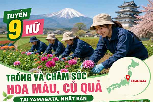 Tuyển 9 Nữ làm nông nghiệp tại Yamagata, Nhật Bản